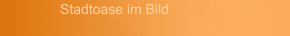 Stadtoase im Bild